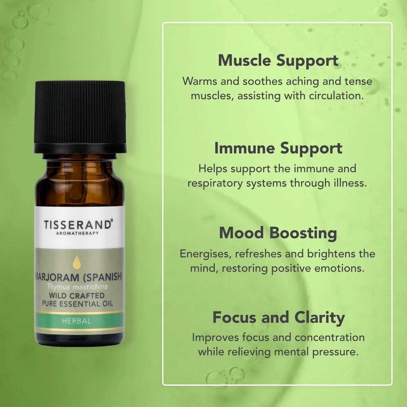 Marjoram Spanish Essential Oil - Image 3