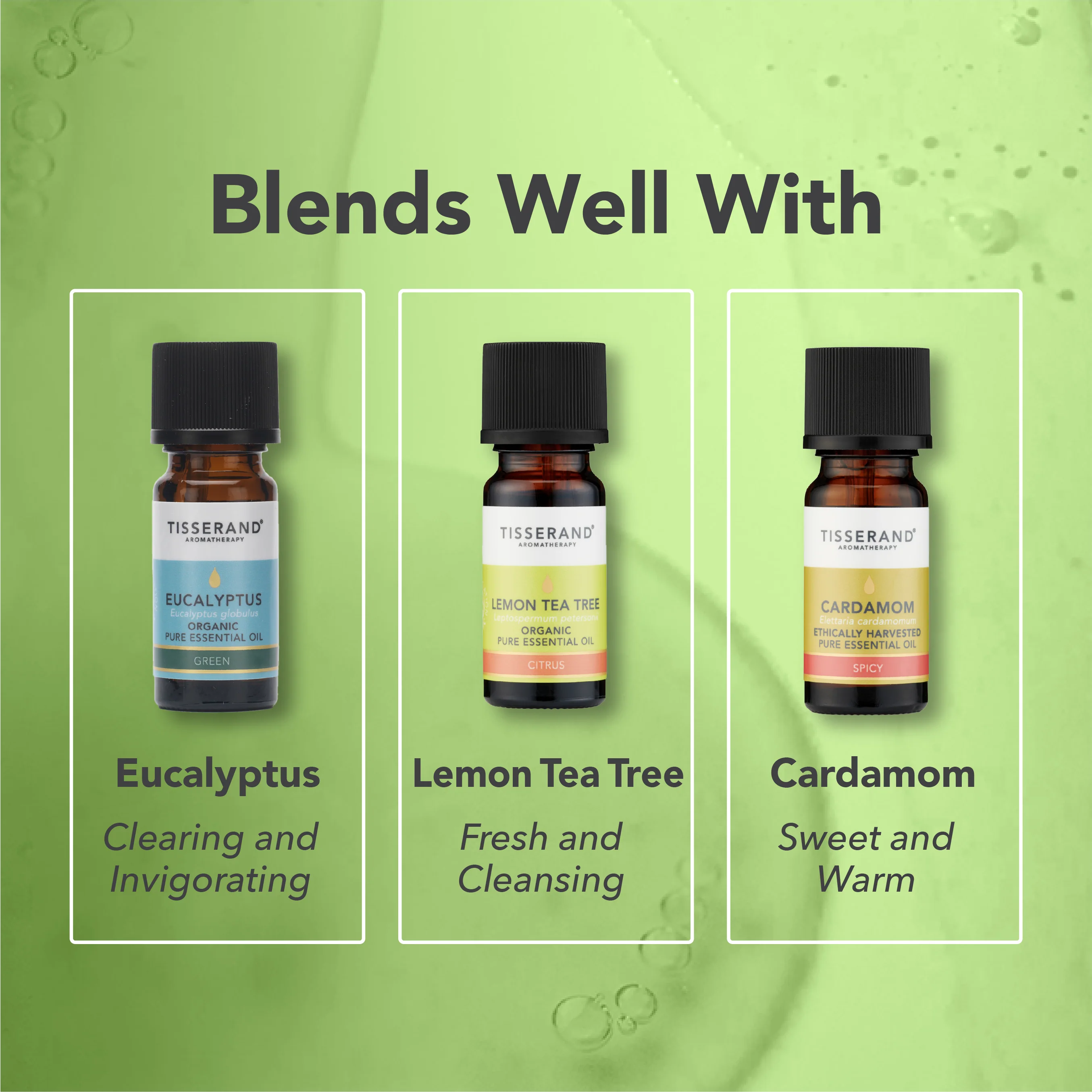 Marjoram Spanish Essential Oil - Image 4