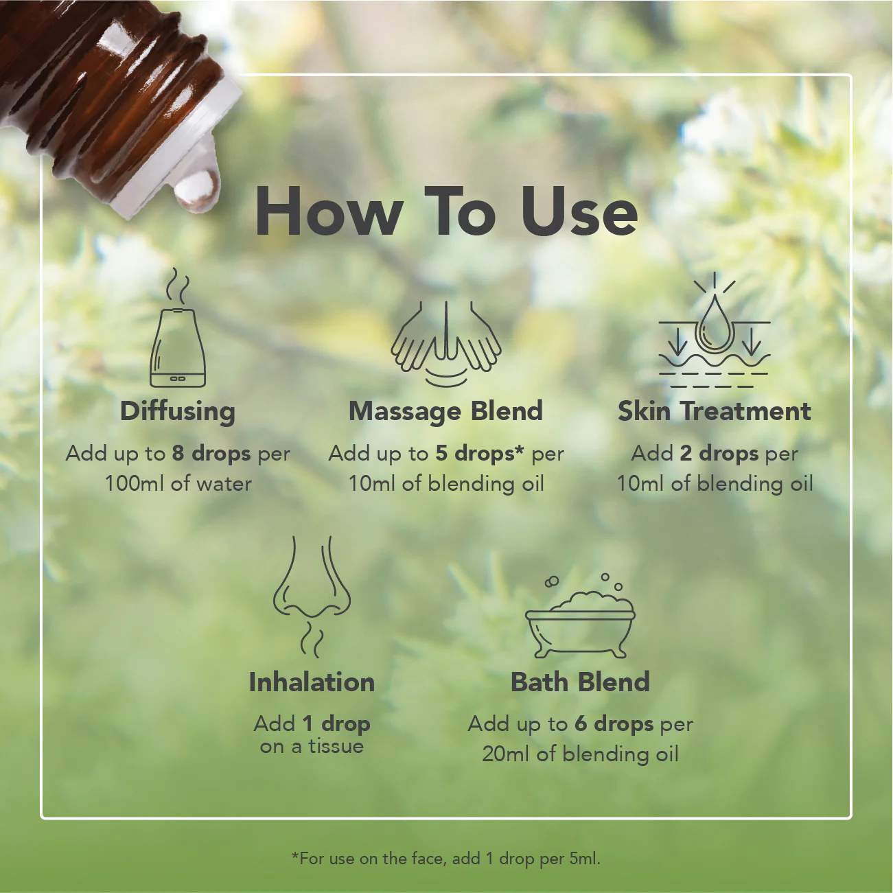 Marjoram Spanish Essential Oil - Image 6