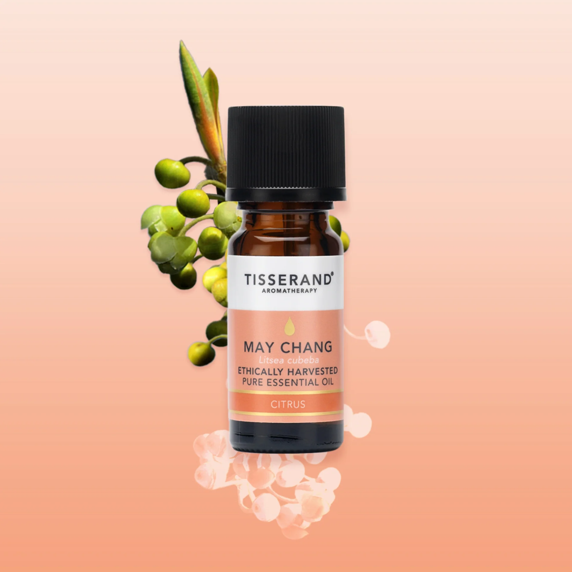 May Chang Essential Oil - Image 2