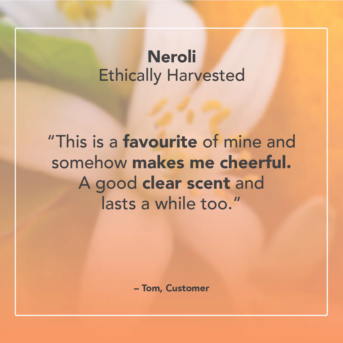 Neroli Essential Oil - Image 5