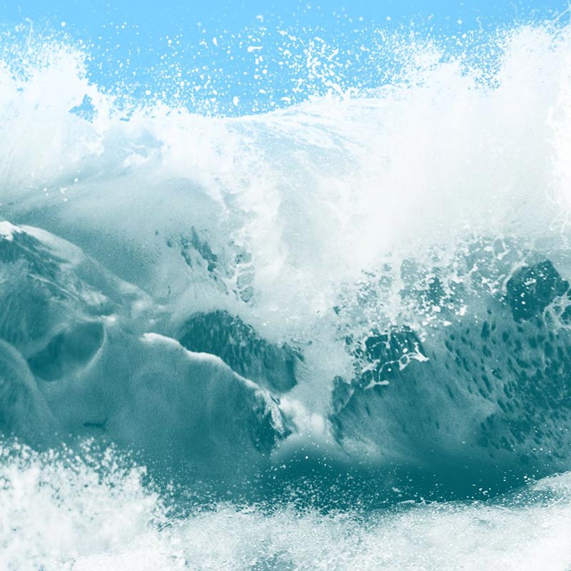 04: Ocean Calling