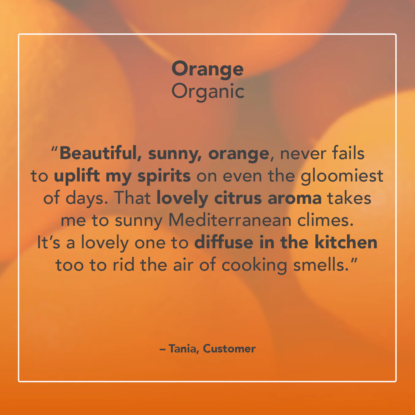 Orange Essential Oil - Image 5