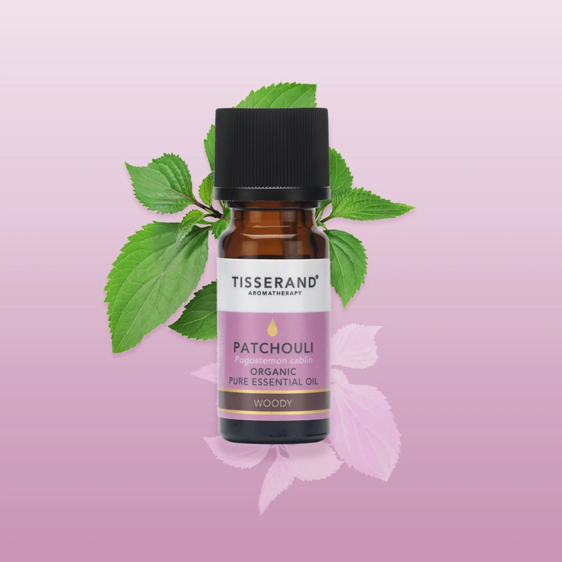 Patchouli Essential Oil - Image 2