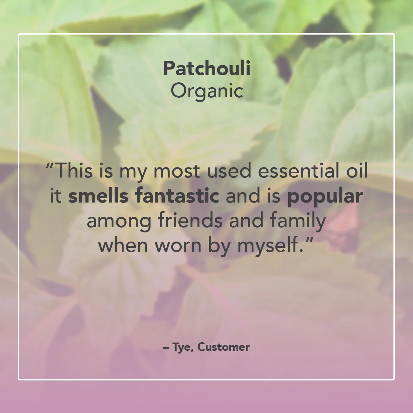 Patchouli Essential Oil - Image 5