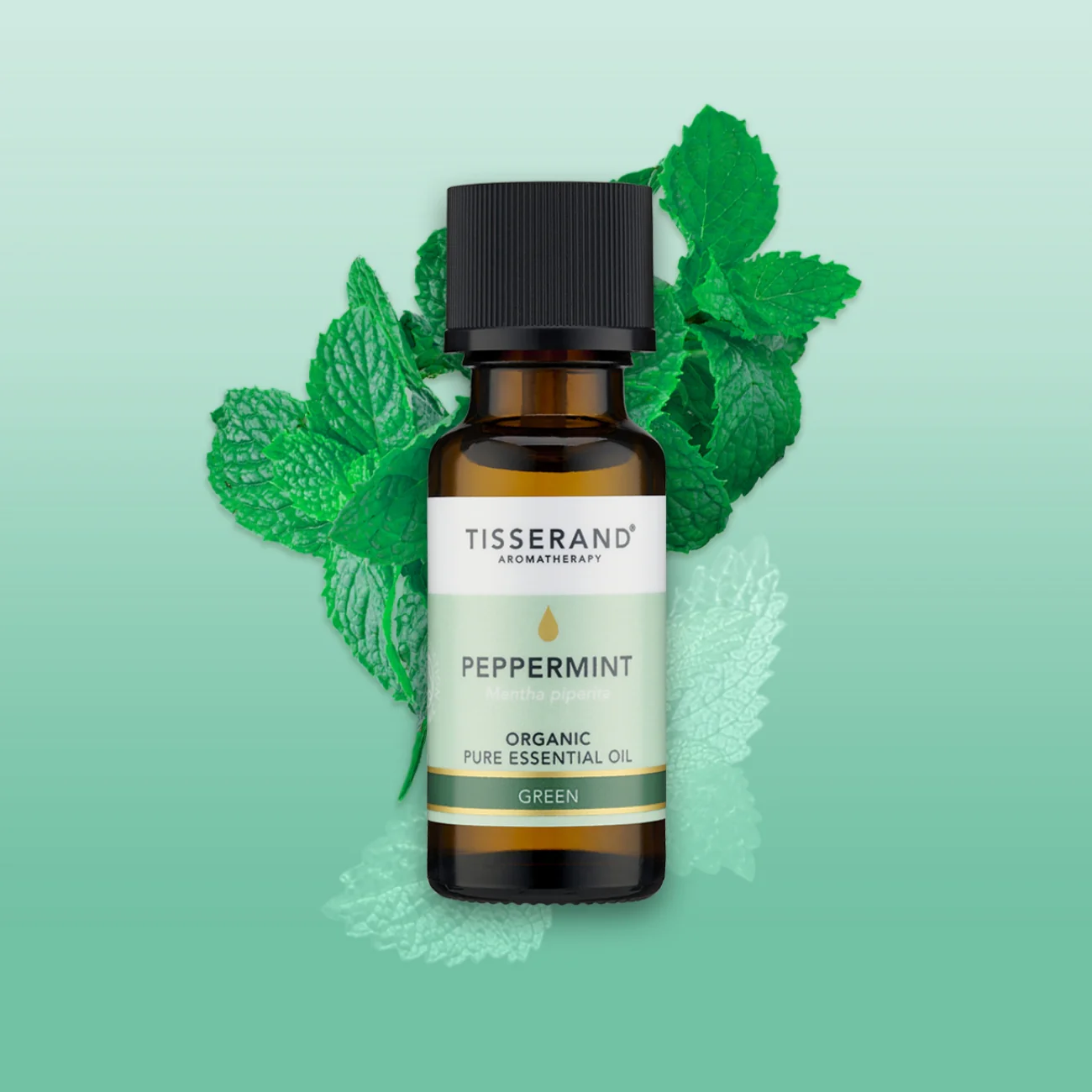 Peppermint Organic Essential Oil - Image 13