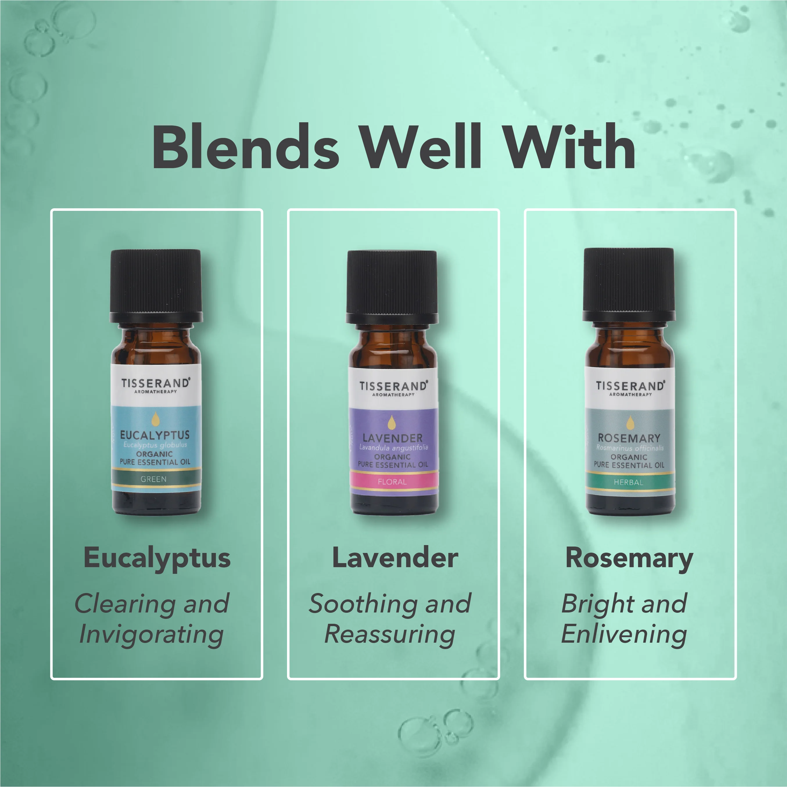 Peppermint Organic Essential Oil - Image 4