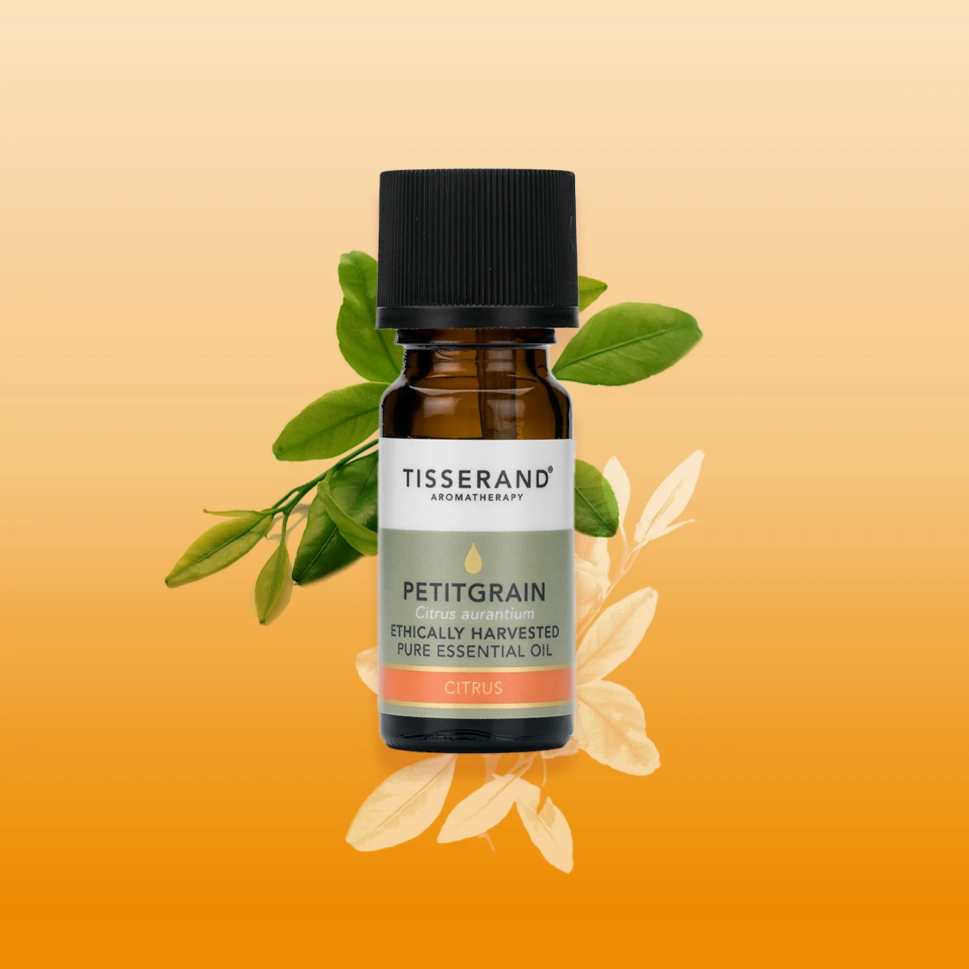 Petitgrain Essential Oil - Image 2