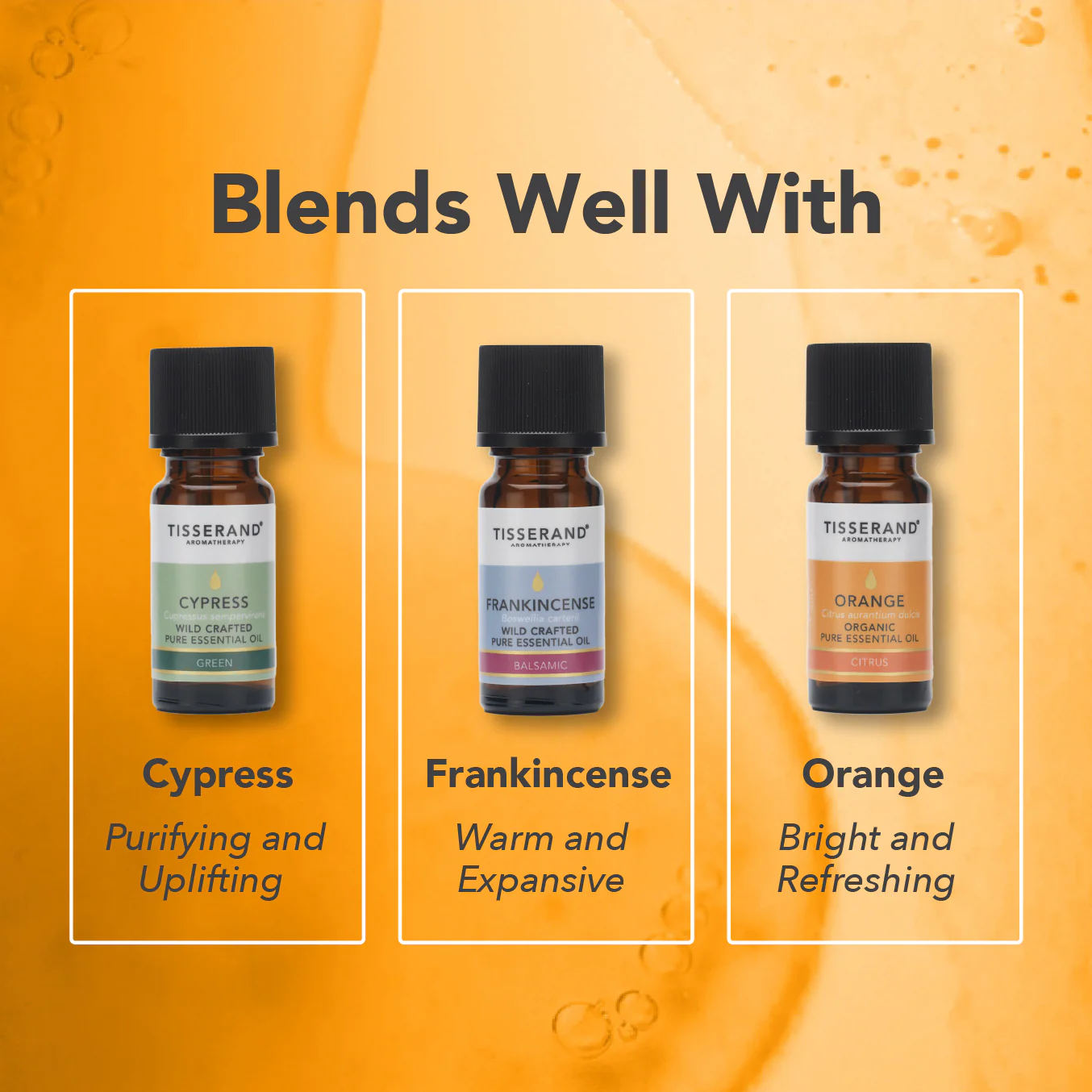 Petitgrain Essential Oil - Image 4