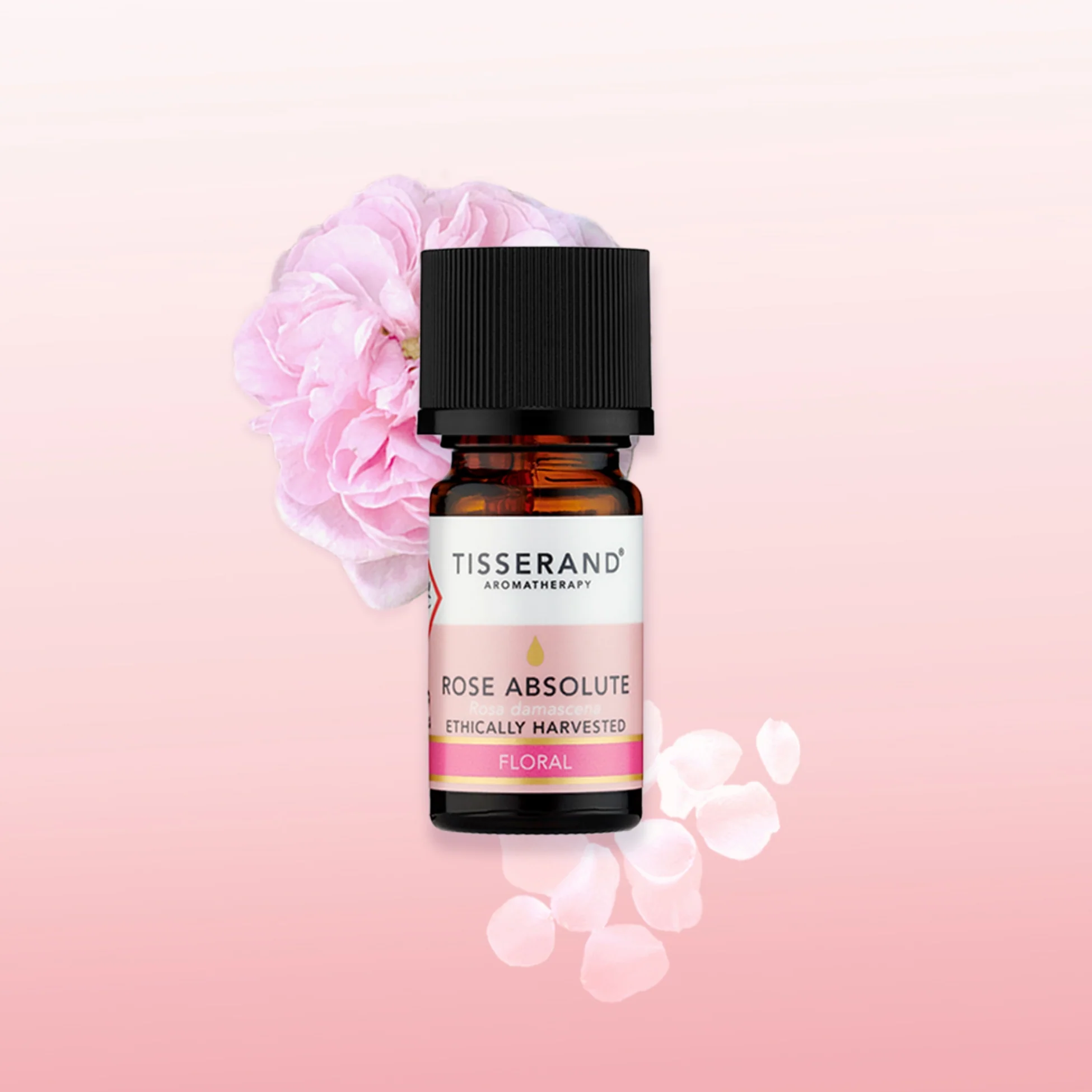 Rose Absolute Oil - Image 2
