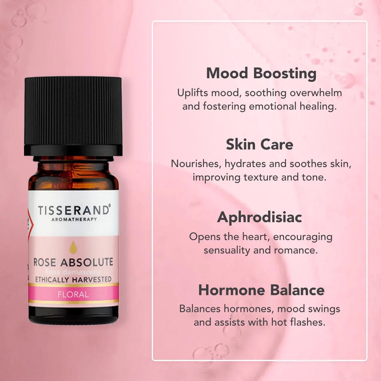 Rose Absolute Oil - Image 3