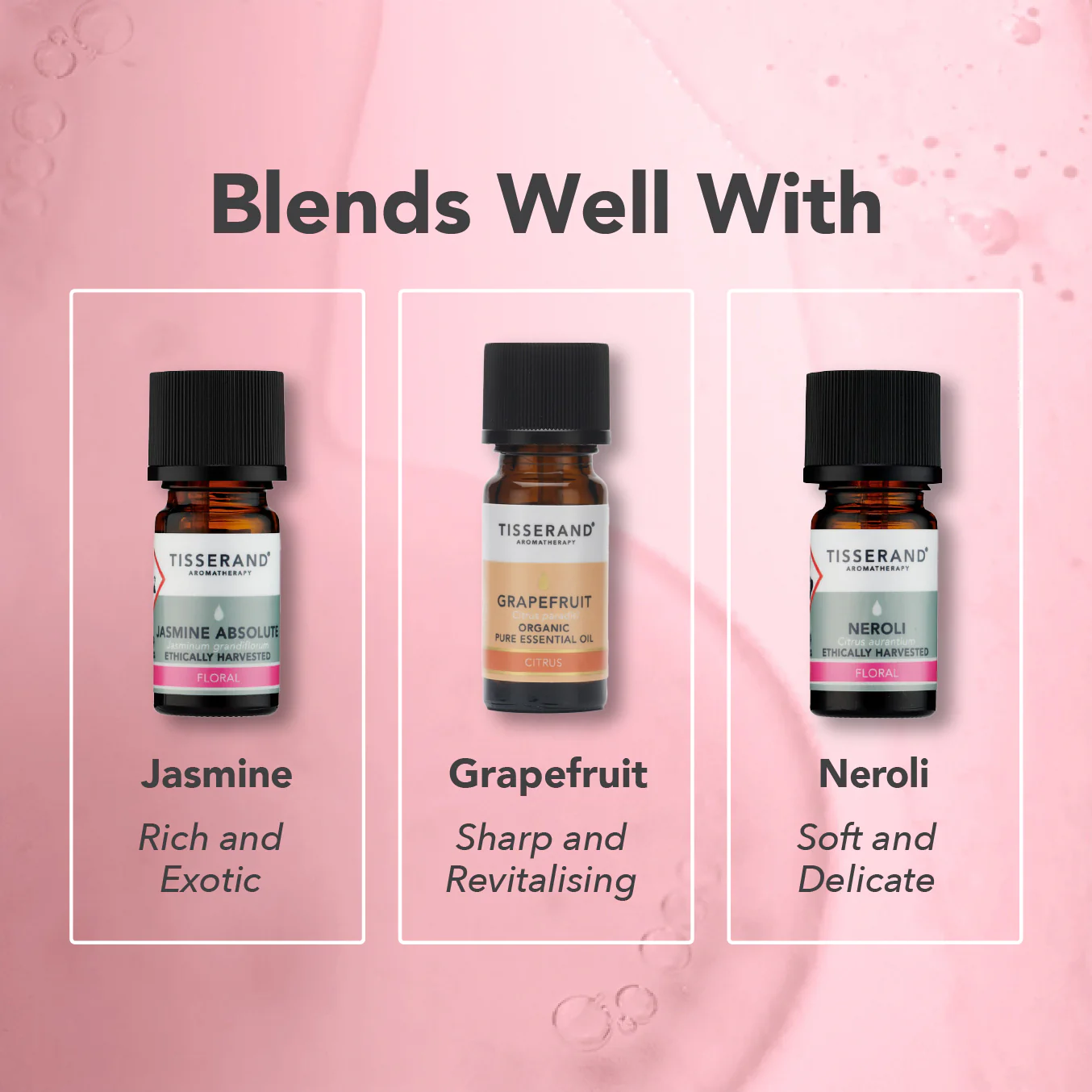 Rose Absolute Oil - Image 4