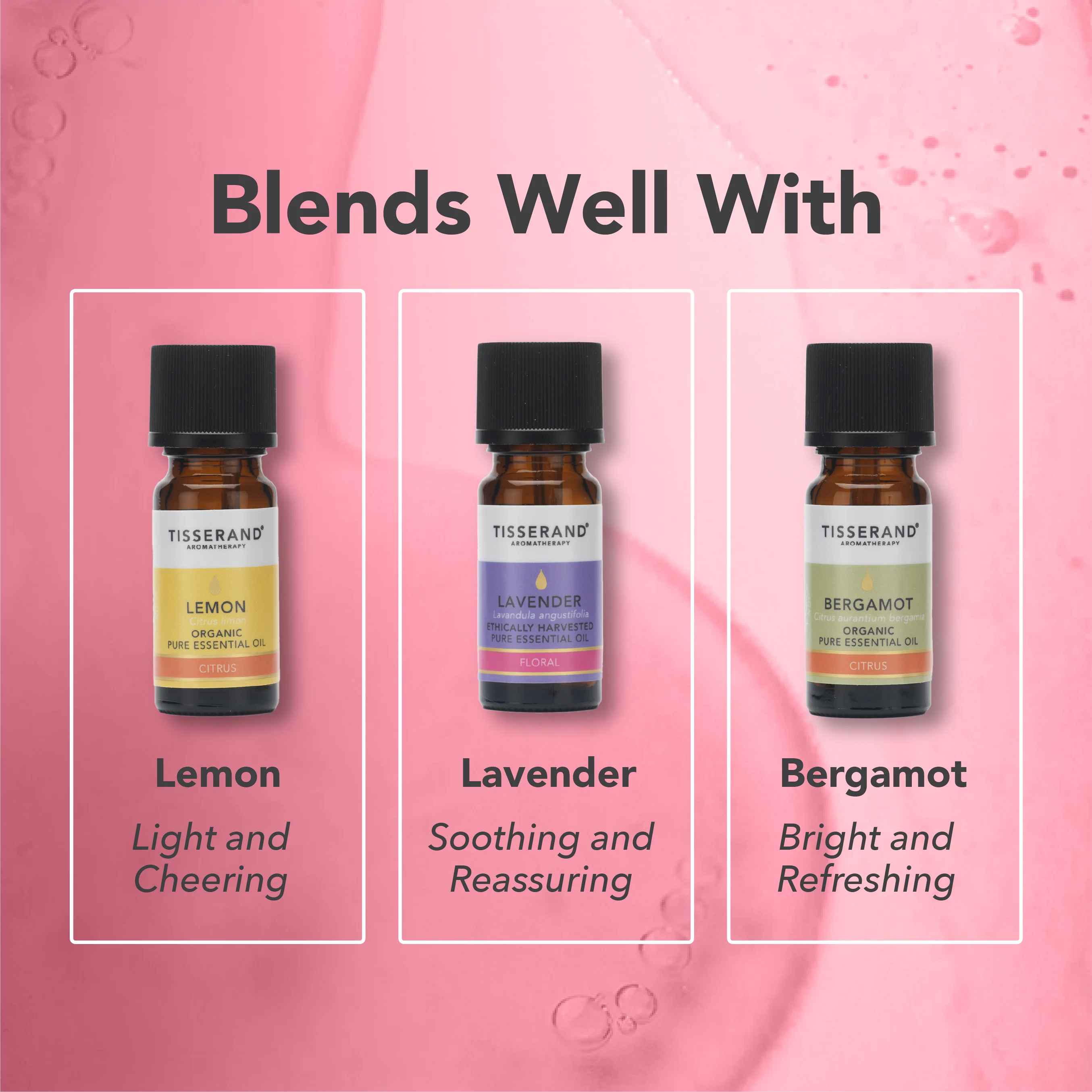 Rose Otto Essential Oil - Image 4
