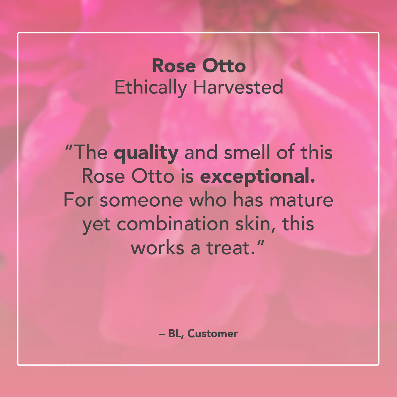 Rose Otto Essential Oil - Image 5