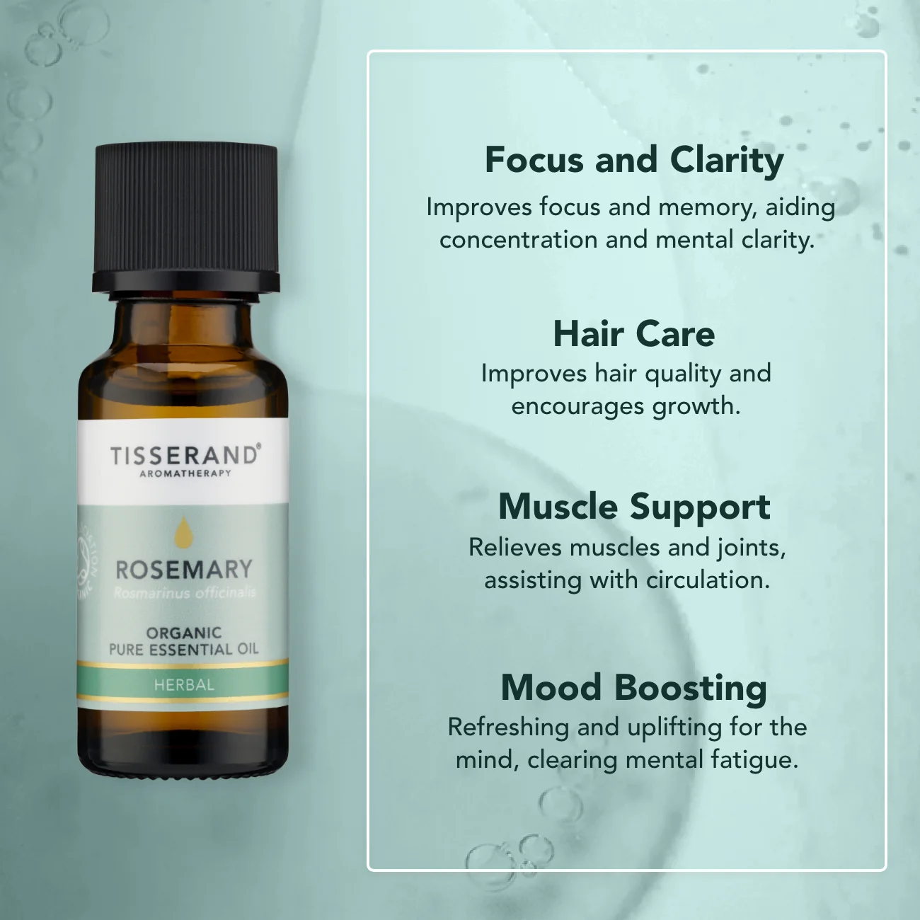 Rosemary Organic Essential Oil - Image 13