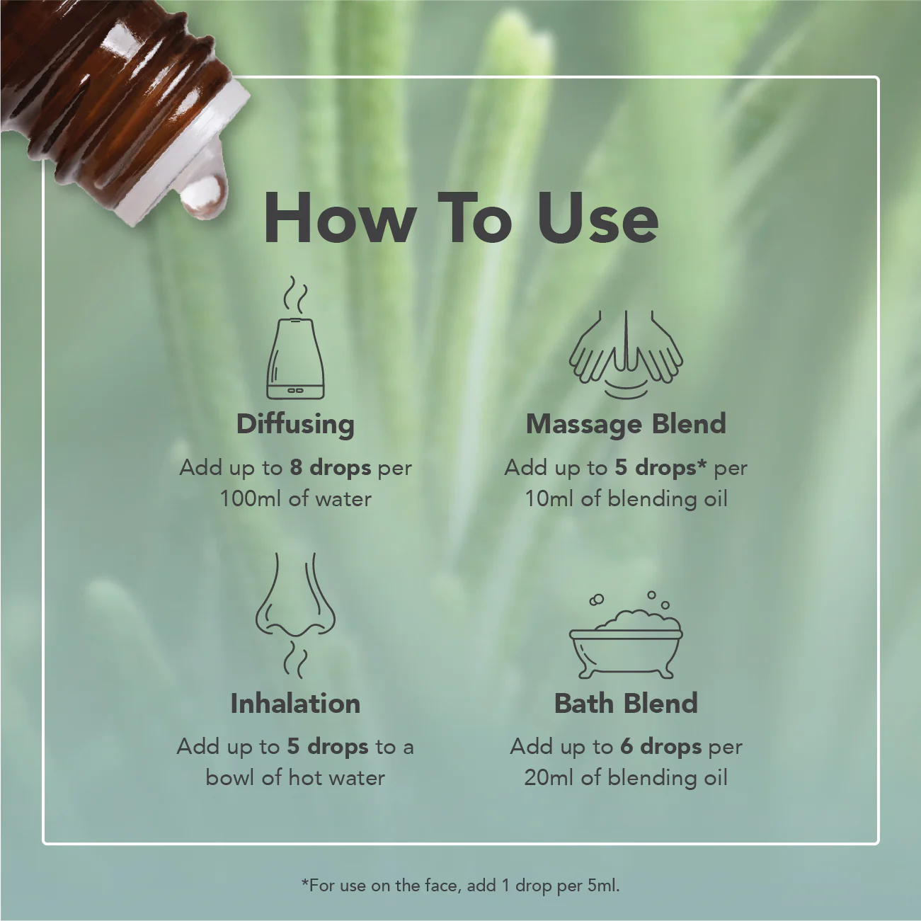 Rosemary Organic Essential Oil - Image 15