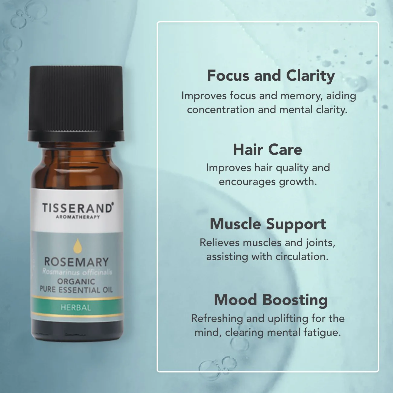 Rosemary Organic Essential Oil - Image 3