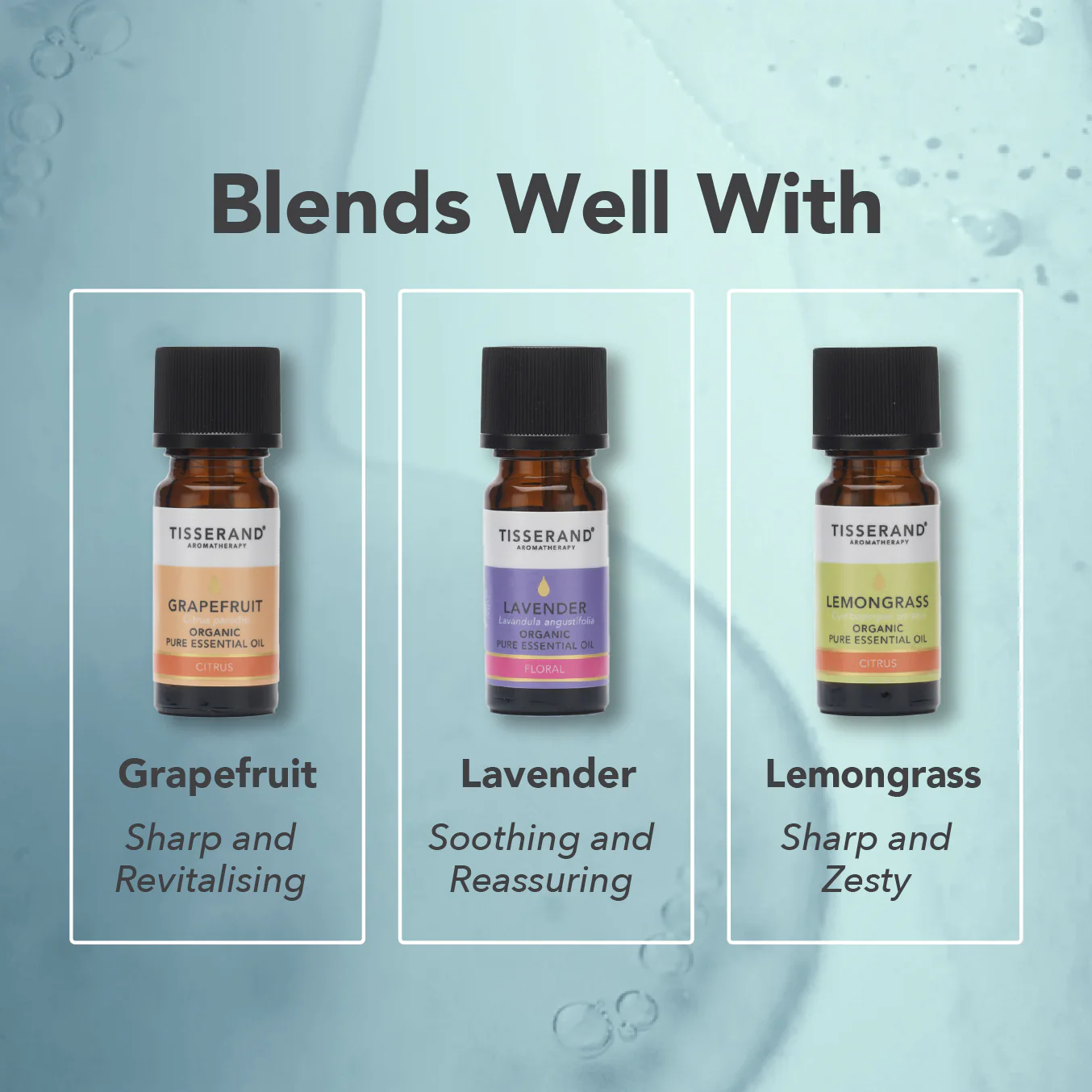 Rosemary Organic Essential Oil - Image 4