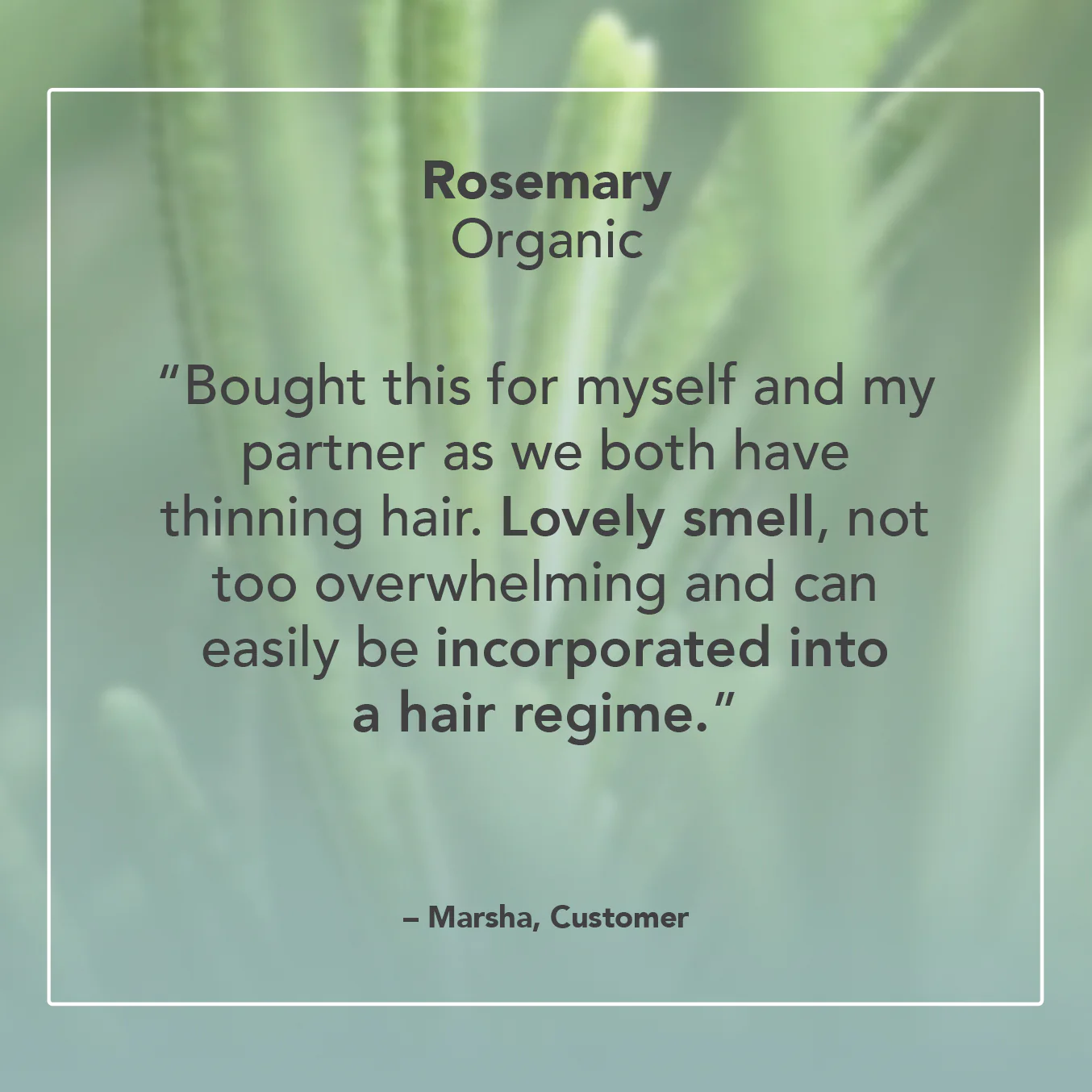 Rosemary Organic Essential Oil - Image 5