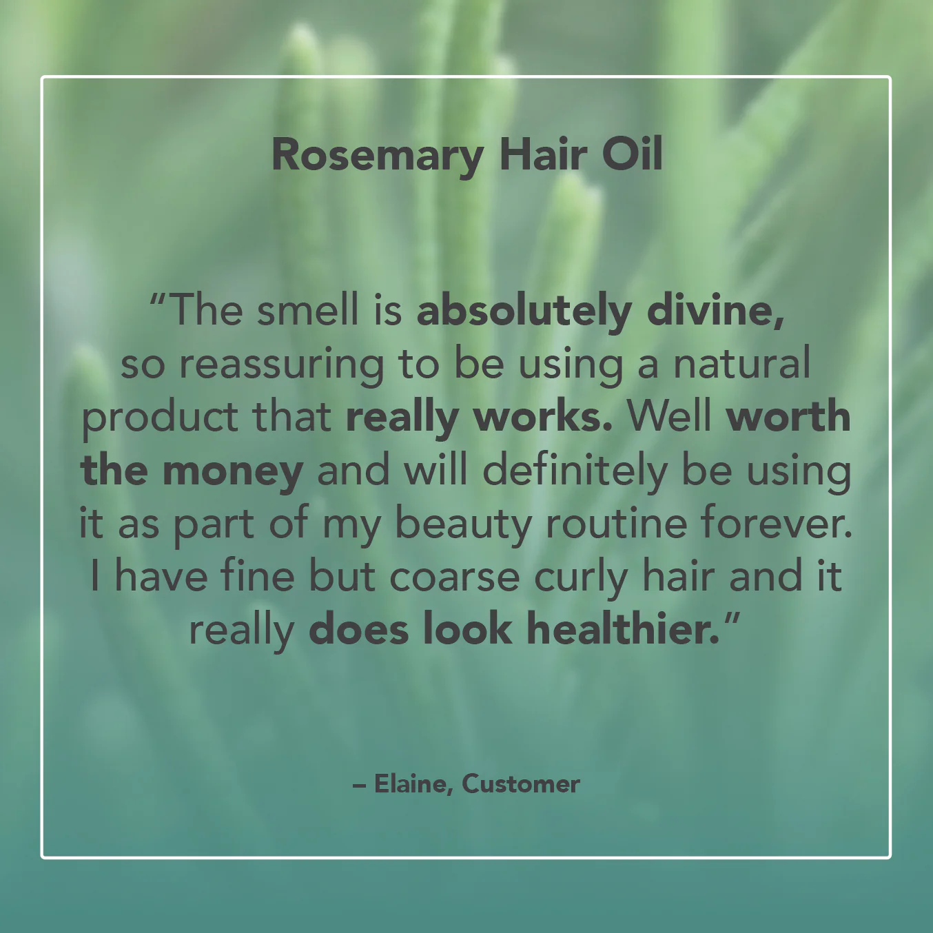 Rosemary Hair Oil - Image 4