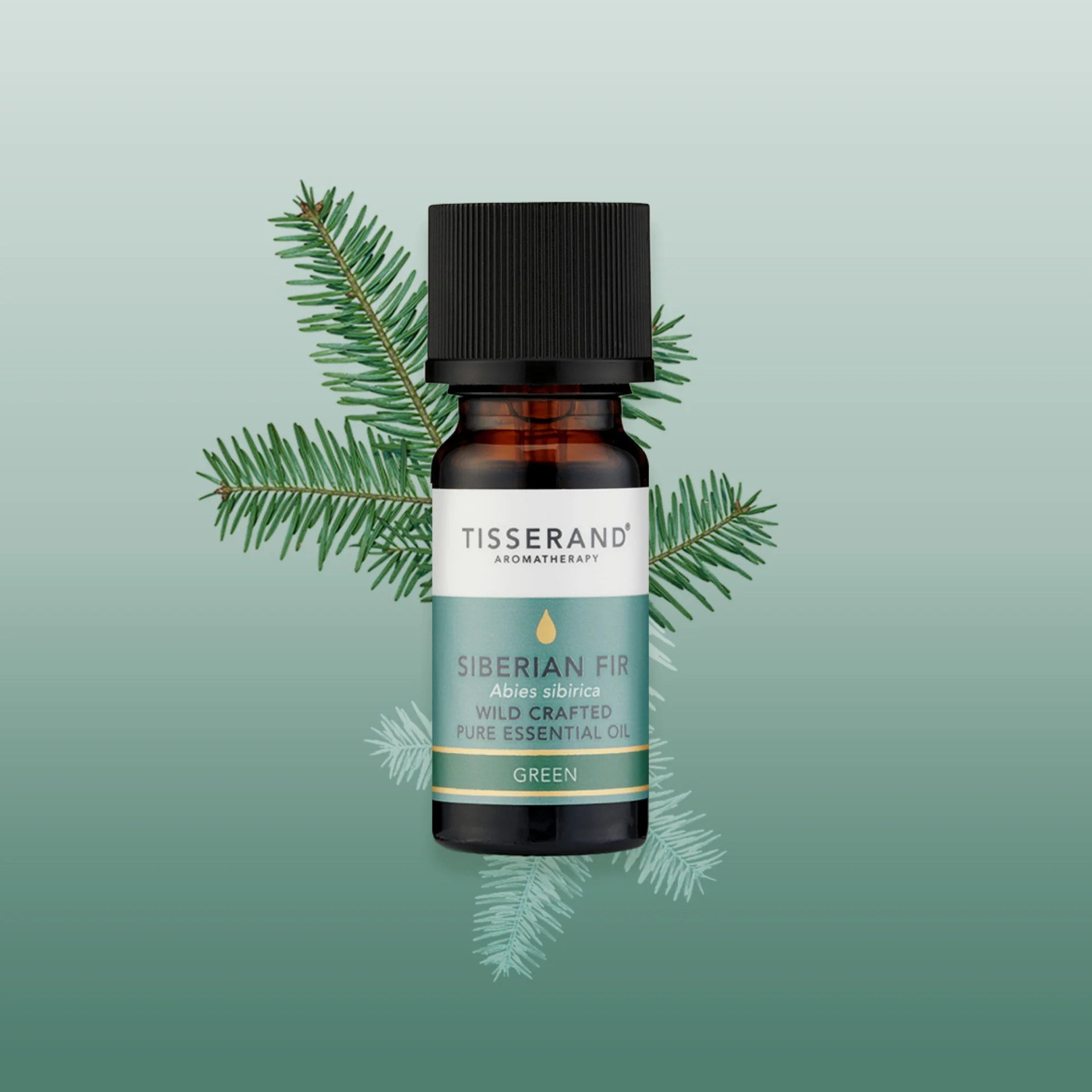 Siberian Fir Essential Oil - Image 2