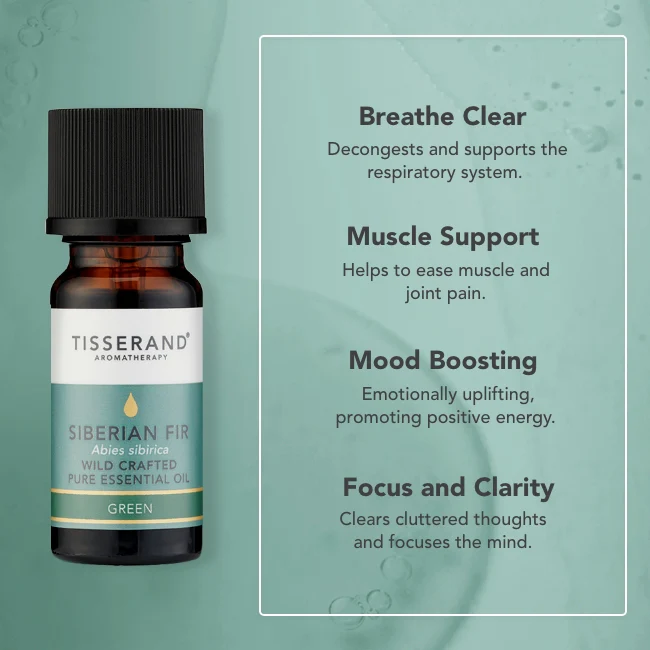 Siberian Fir Essential Oil - Image 3