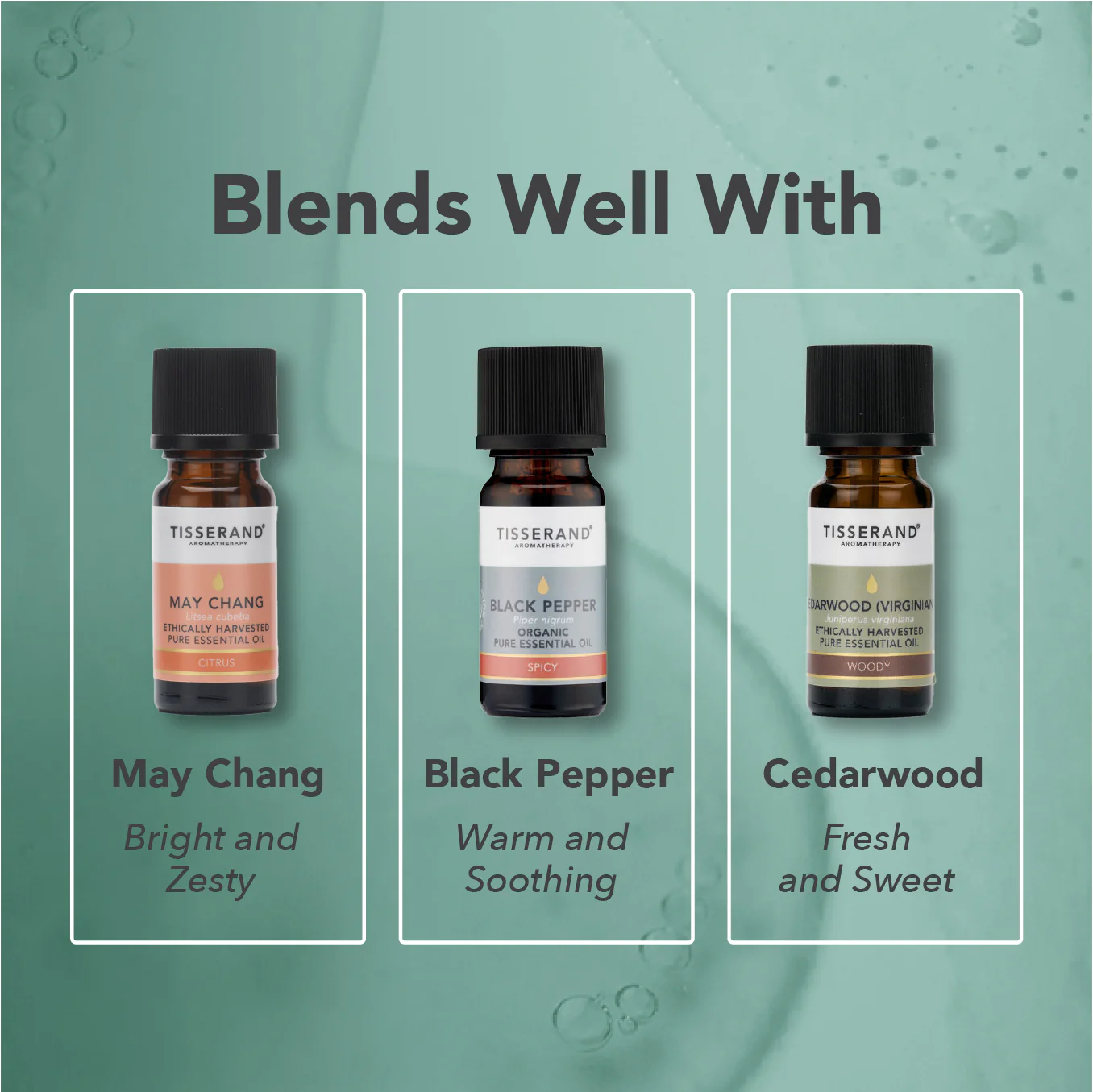 Siberian Fir Essential Oil - Image 4