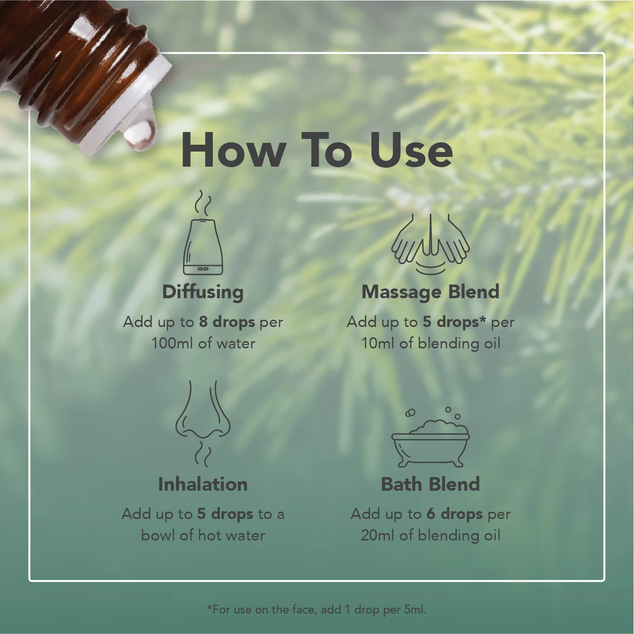 Siberian Fir Essential Oil - Image 6