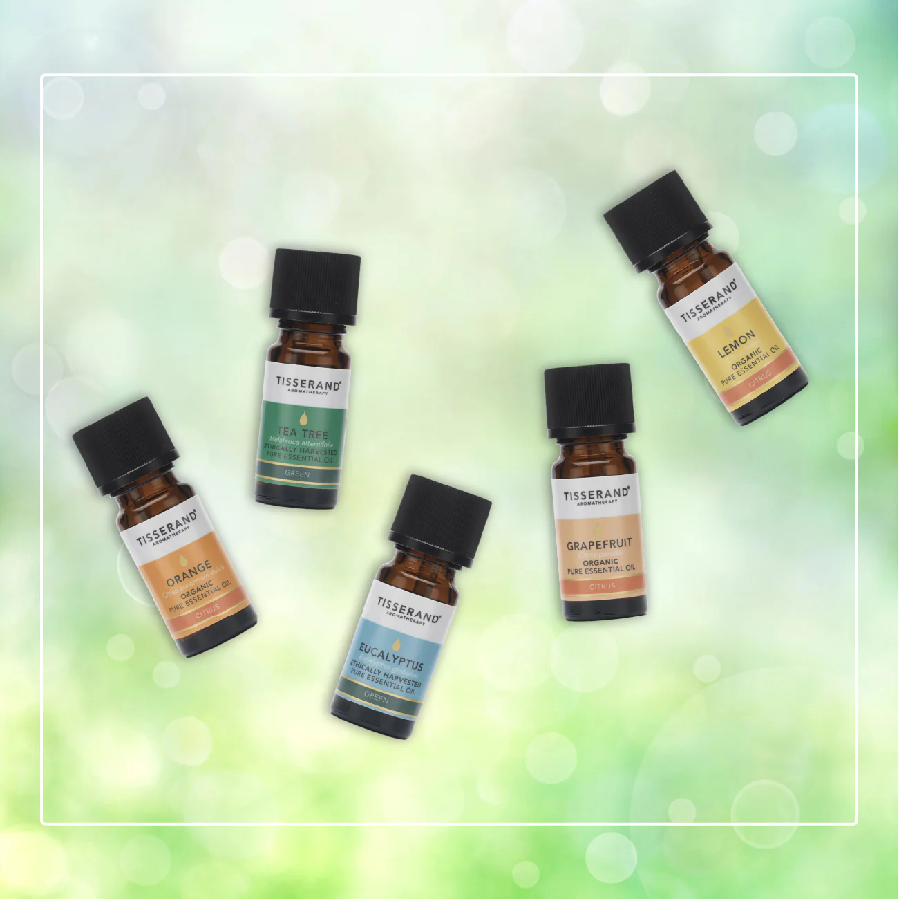Spring Clean Essential Oil Toolkit