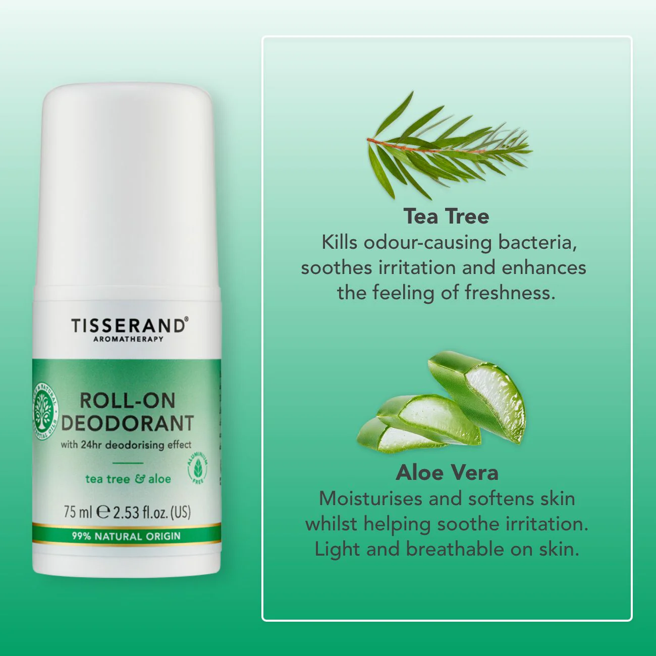 Tea Tree & Aloe Roll-On Deodorant - Image 3