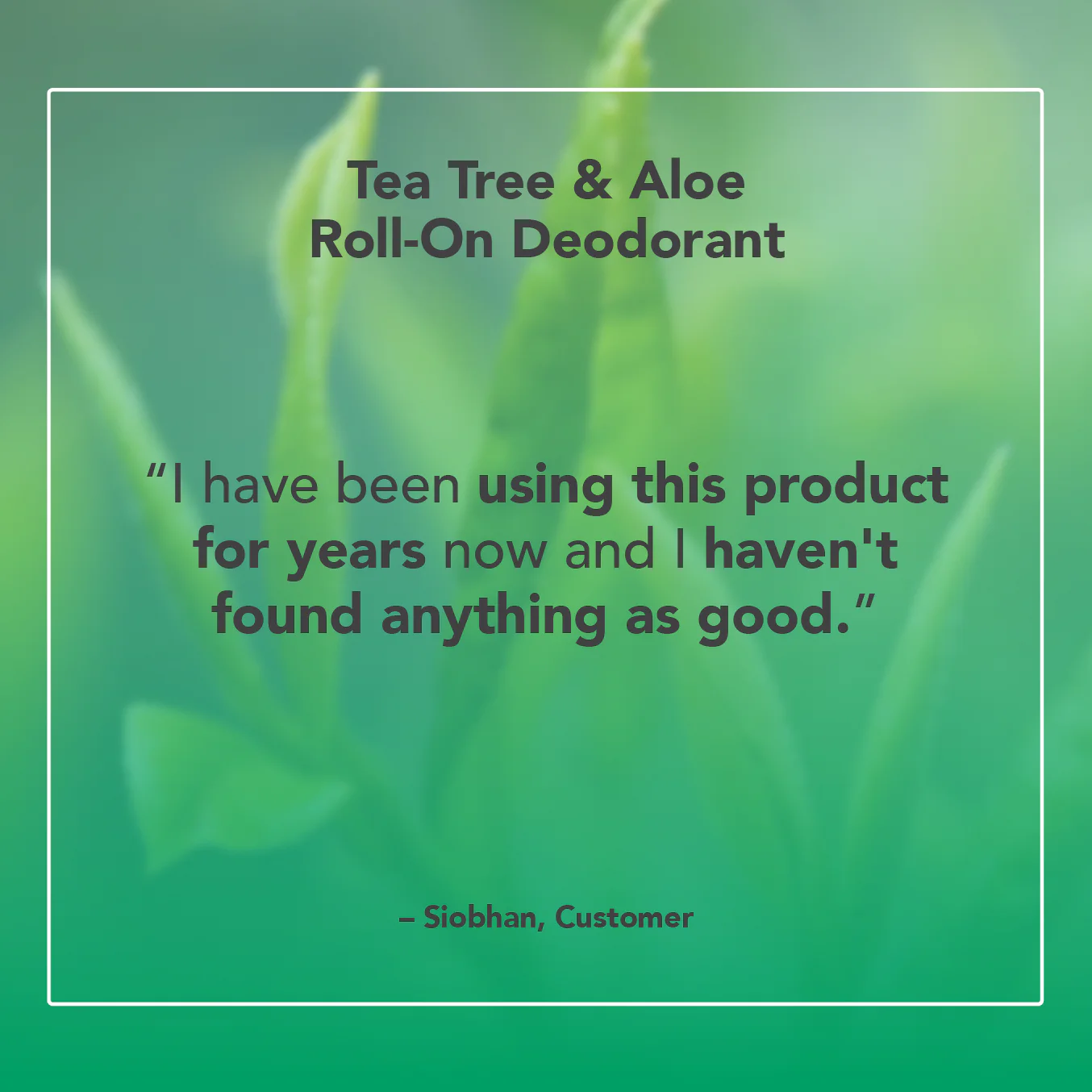 Tea Tree & Aloe Roll-On Deodorant - Image 4