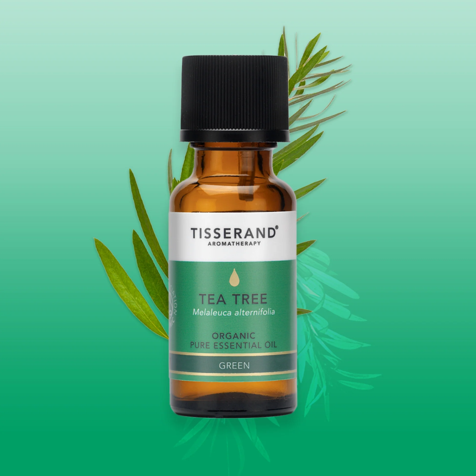 Tea Tree Organic Essential Oil - Image 11
