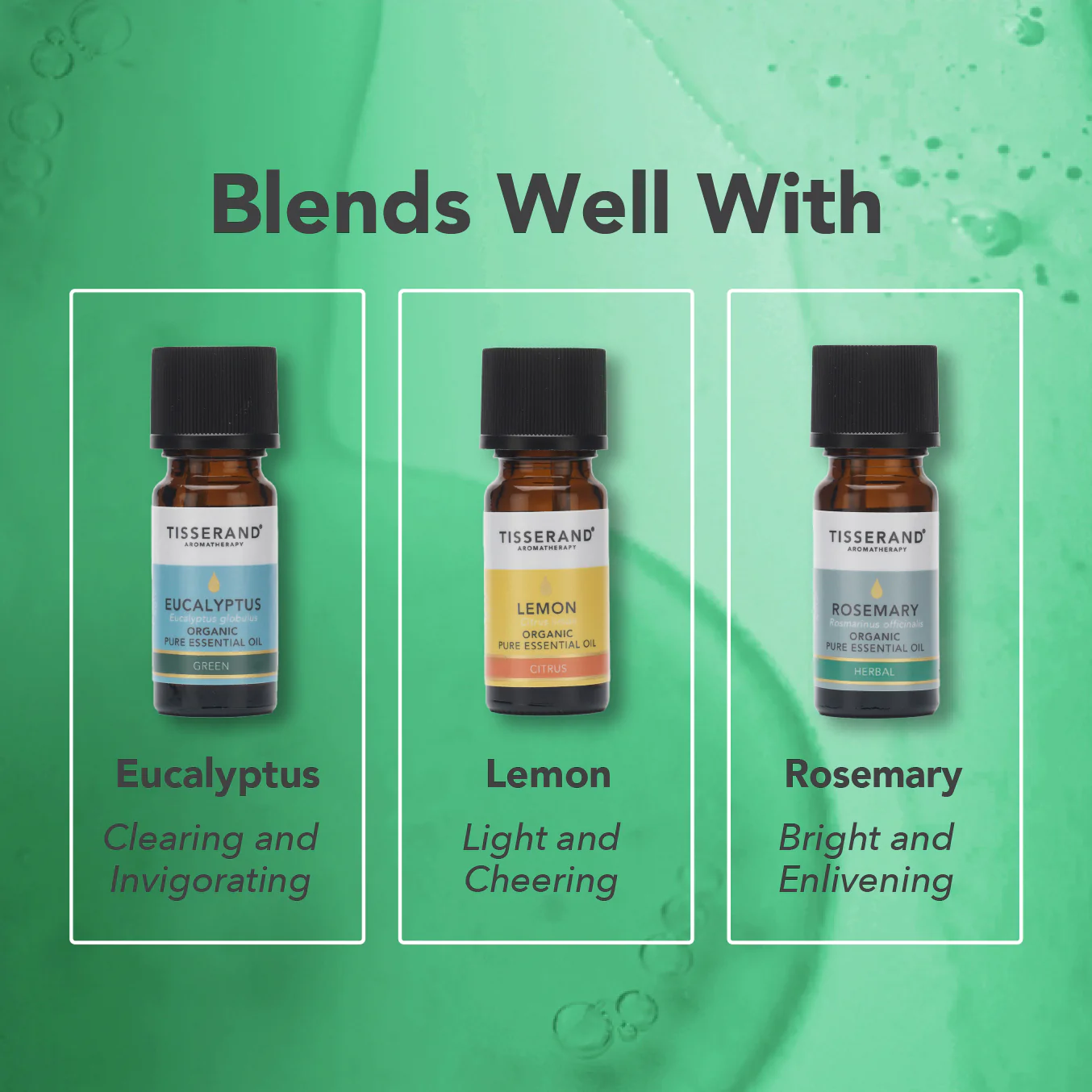 Tea Tree Organic Essential Oil - Image 4