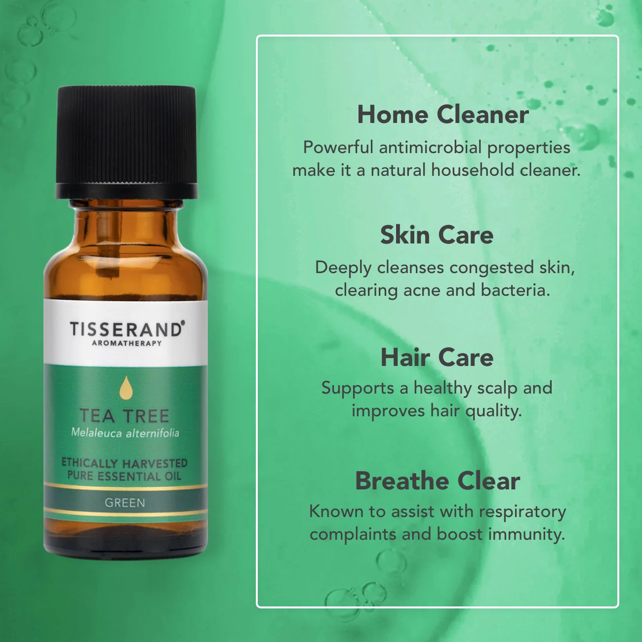 Tea Tree Ethically Harvested Essential Oil - Image 10