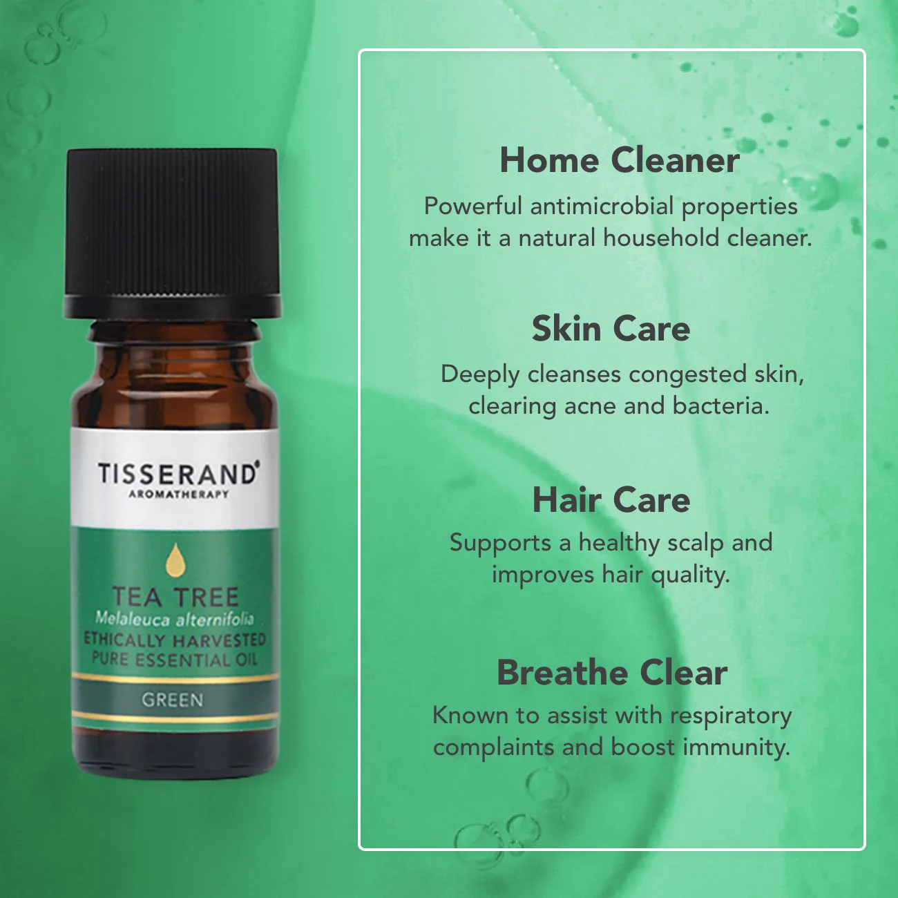 Tea Tree Ethically Harvested Essential Oil - Image 3