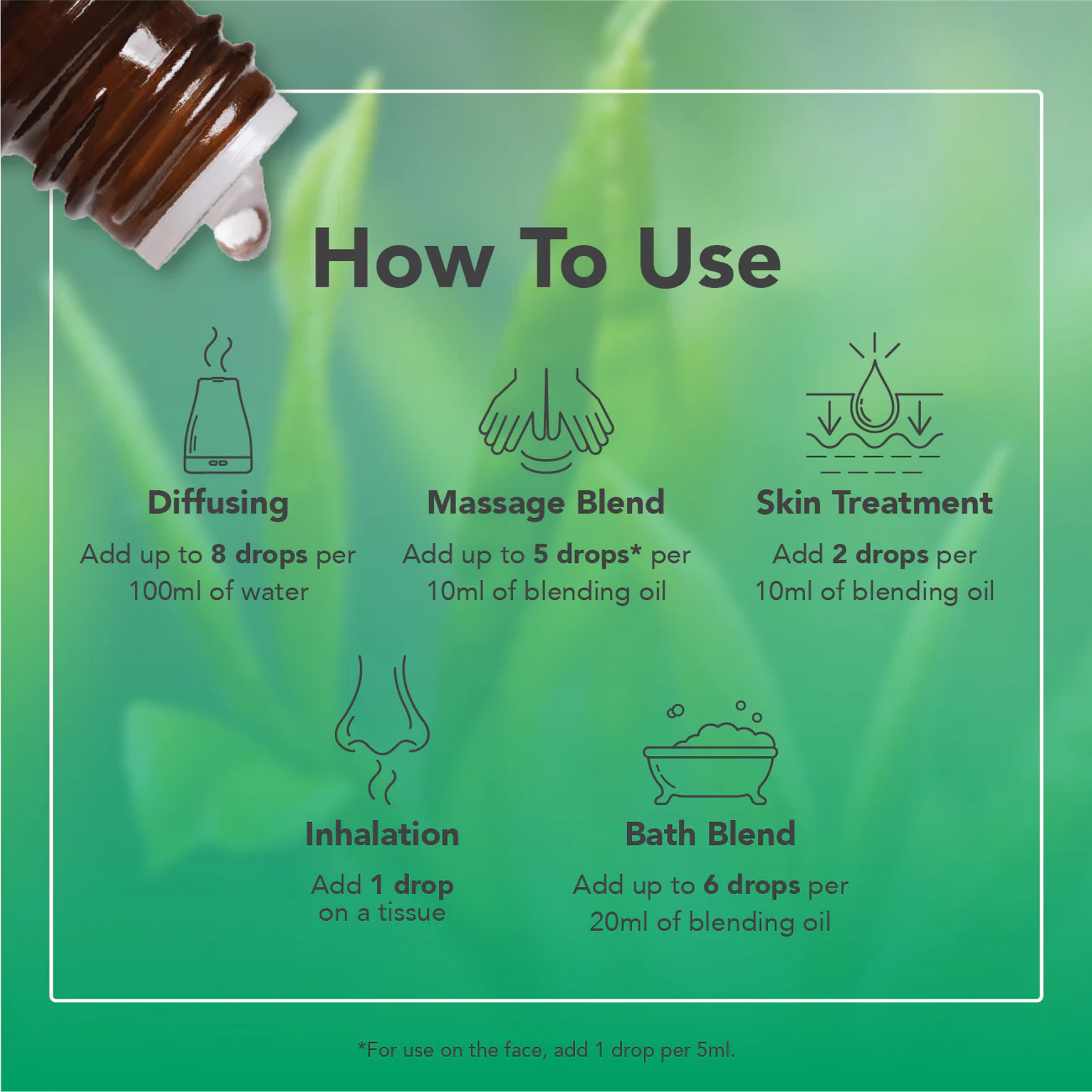 Tea Tree Ethically Harvested Essential Oil - Image 6