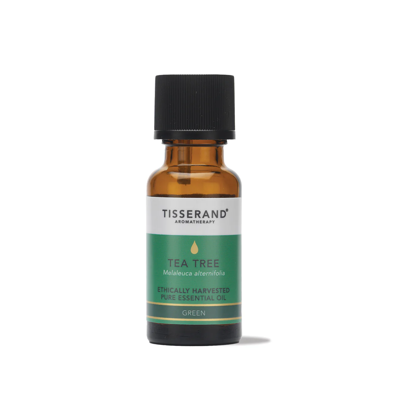 Tea Tree Ethically Harvested Essential Oil - Image 8