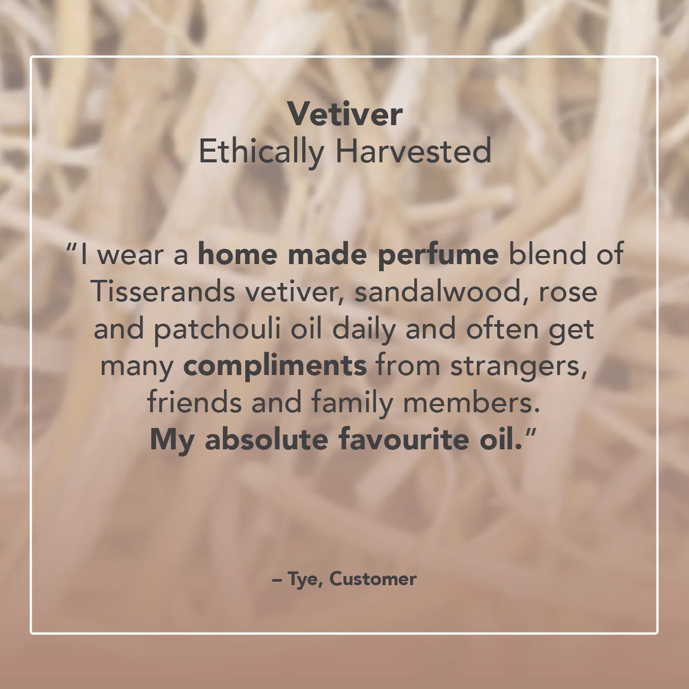 Vetiver Essential Oil - Image 5