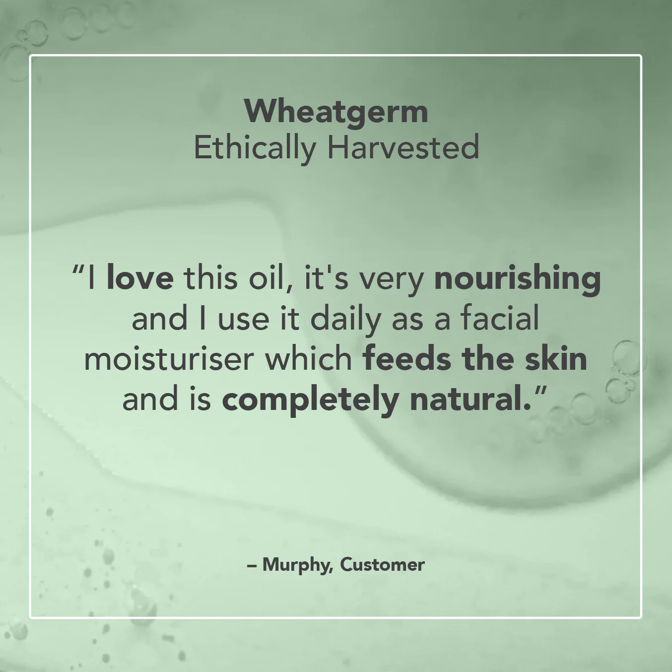 Wheatgerm Oil - Image 4