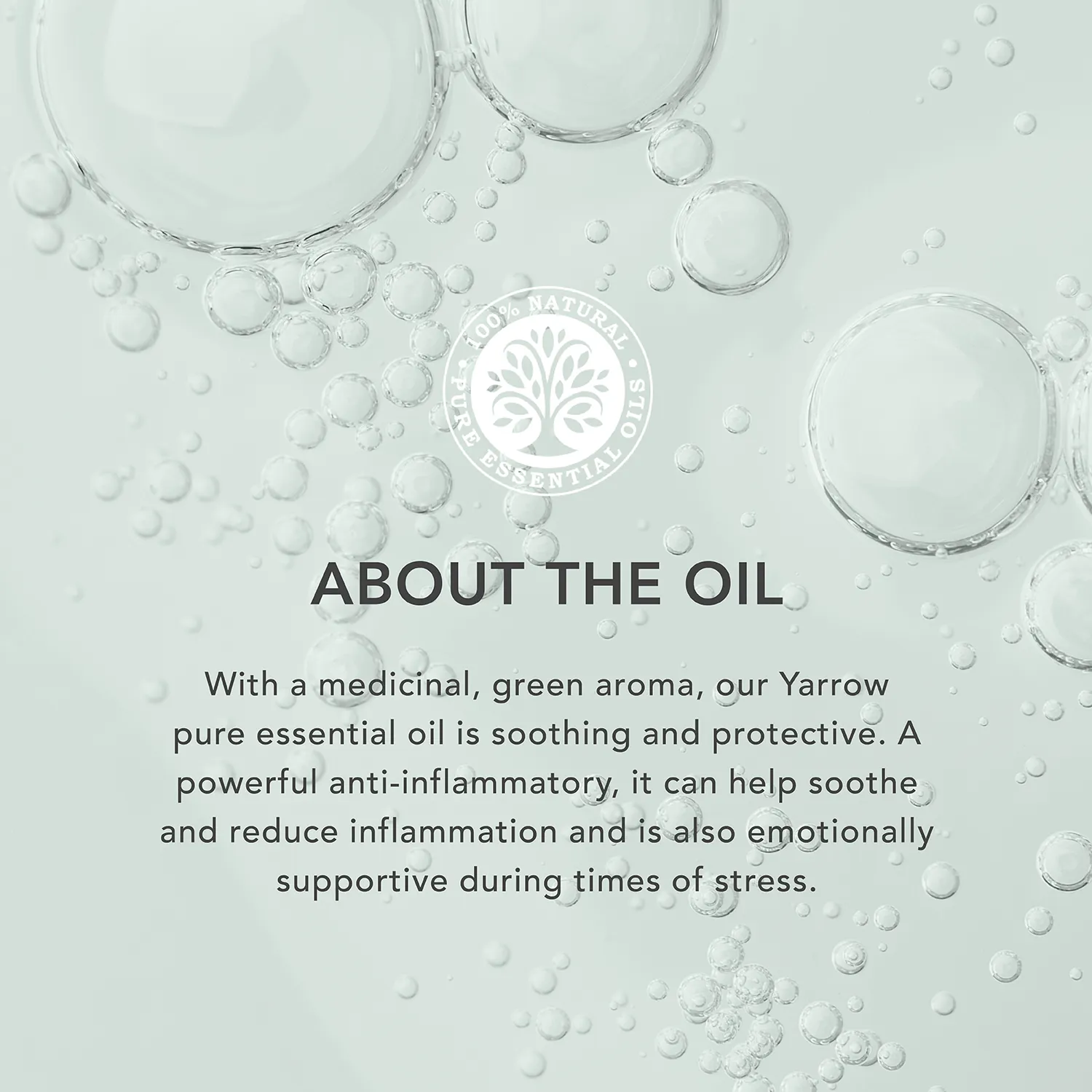 Yarrow Essential Oil - Image 3