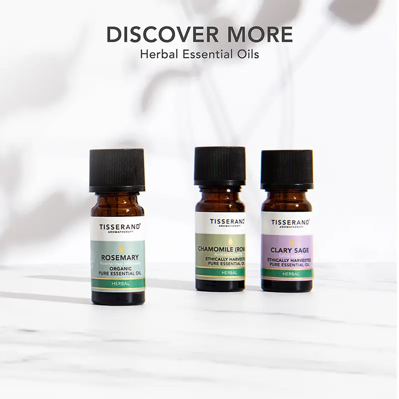 Yarrow Essential Oil - Image 7