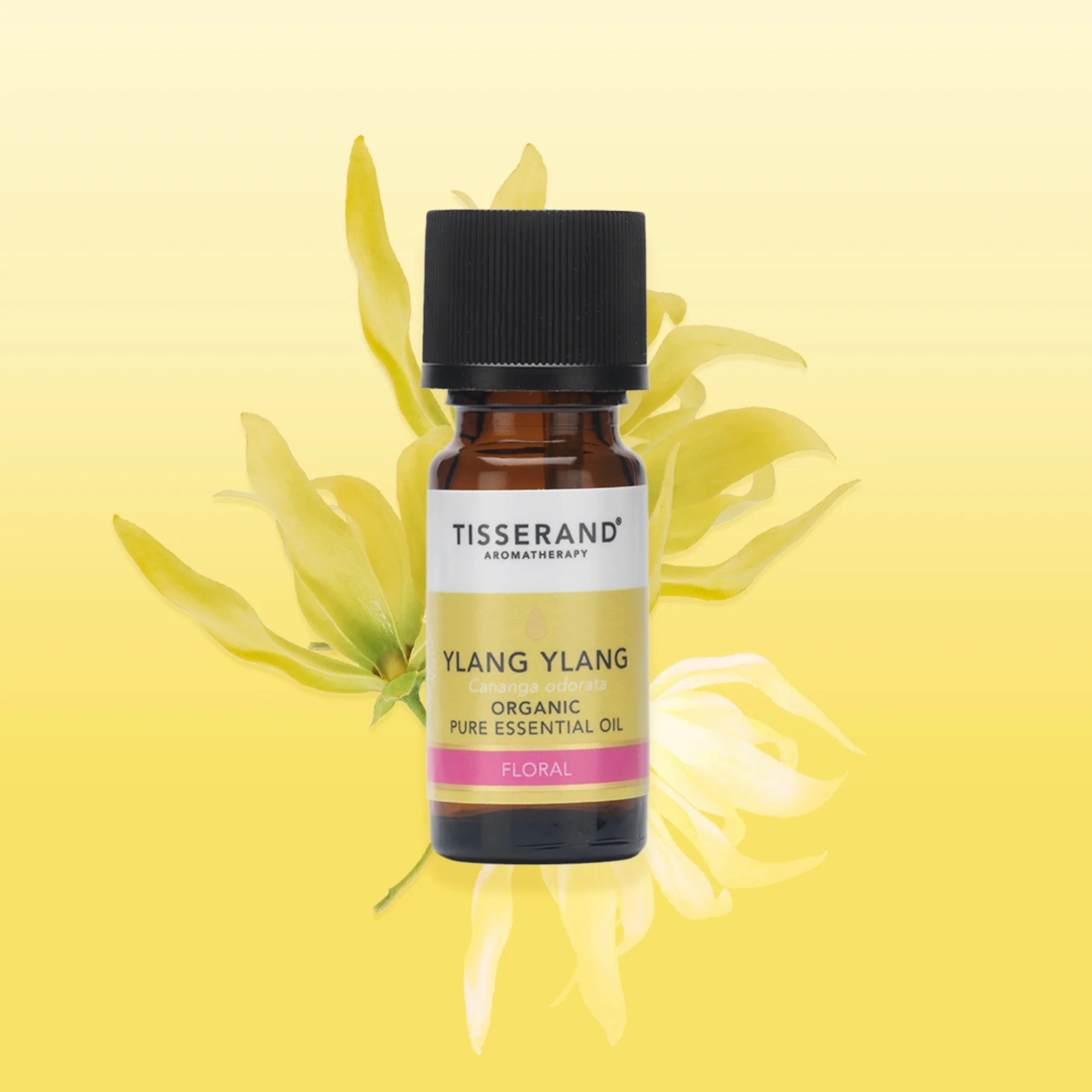 Ylang Ylang Essential Oil - Image 2