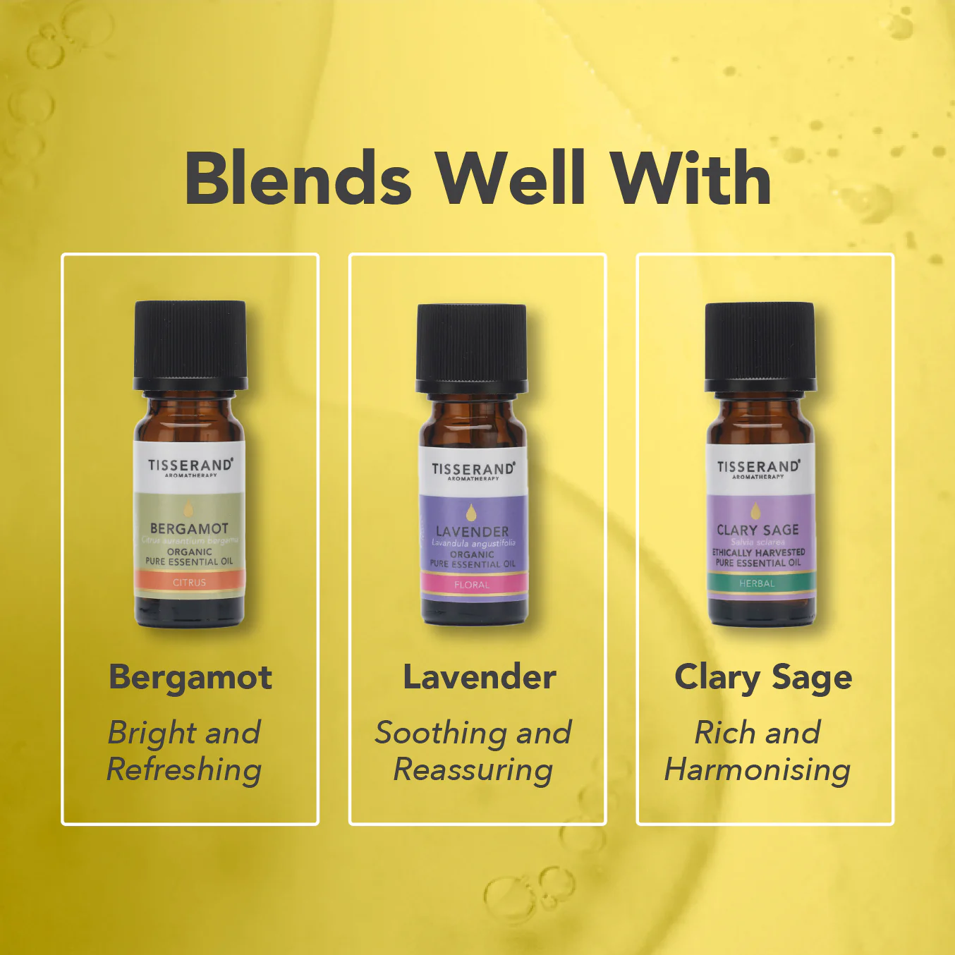 Ylang Ylang Essential Oil - Image 4