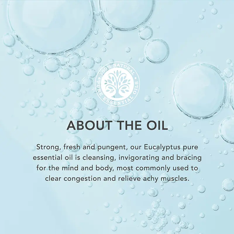 Your Daily Essentials - Image 6